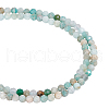  2 Strands Natural Flower Amazonite Beads Strands G-NB0004-59-1