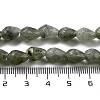 Natural Labradorite Beads Strands G-P520-B05-01-5