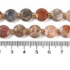 Natural Fossil Coral Beads Strands G-C116-A27-01-5