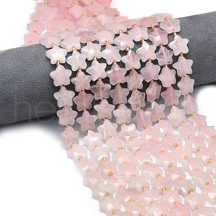 Natural Rose Quartz Beads Strands G-P573-C08-01-1