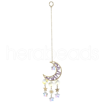 Natural Amethyst Moon Pendant Decorations HJEW-JM01166-1