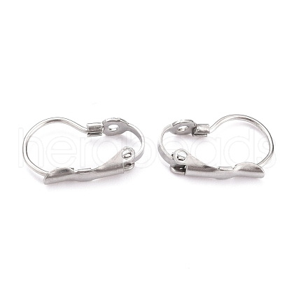 Tarnish Resistant 304 Stainless Steel Leverback Earring Findings STAS-B003-05P-1