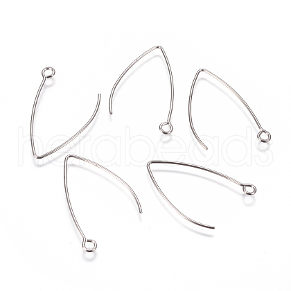 Tarnish Resistant 304 Stainless Steel Earring Hooks X-STAS-F227-26A-P-1