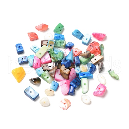 Natural Freshwater Shell Beads BSHE-G029-12-1