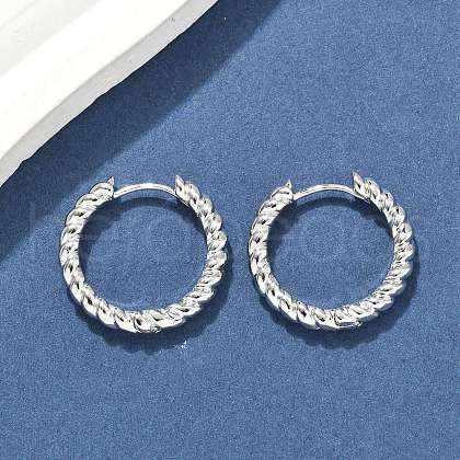 Brass Hoop Earrings EJEW-D320-22P-1