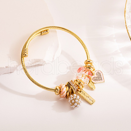 Adjustable Alloy & Stainless Steel Charm Bangles WG0E472-01-1