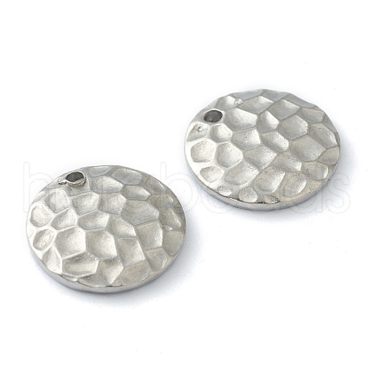 Non-Tarnish 304 Stainless Steel Charms STAS-O145-07P-1