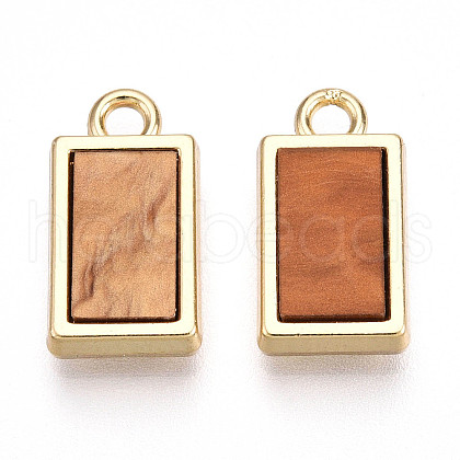 Alloy Charms PALLOY-N177-08G-1