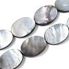 Natural Black Lip Shell Beads Strands BSHE-D300-02-18x25mm-1