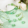 DELORIGIN 12Pcs Handmade Lampwork Beads LAMP-DR0001-03-4