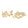 Brass Micro Pave Clear Cubic Zirconia Pendants ZIRC-F124-01G-2
