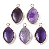 Natural Amethyst Pendants G-S359-318B-1