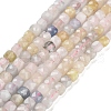 Natural Morganite Beads Strands G-H042-A05-02-1