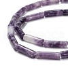 Natural Lepidolite/Purple Mica Stone Beads Strands G-F247-45-5