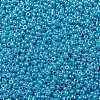MIYUKI Round Rocailles Beads X-SEED-G008-RR0433-3