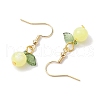 Acrylic Dangle Earrings EJEW-JE05749-05-4