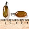 Natural Agate Dyed Pendants G-Q016-03J-3