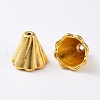 Tibetan Style Bead Caps EA10181Y-G-2
