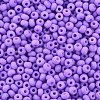 6/0 Glass Seed Beads SEED-T005-14-B04-3