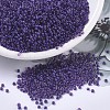 MIYUKI Round Rocailles Beads X-SEED-G007-RR1932-1
