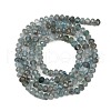Natural Apatite Beads Strands G-RM2025-C39-3x4mm-3