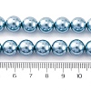 Shell Pearl Beads Strands BSHE-K015-10mm-02-2