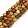 Natural Green Opal Beads Strands G-K245-A17-A04-1