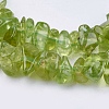 Natural Peridot Beads Strands X-G-J119-04-3