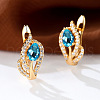 Brass Micro Pave Cubic Zirconia Hoop Earrings WG4C638-11-1