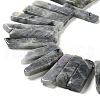 Natural Labradorite Beads Strands G-L551B-06-3