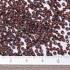 MIYUKI Round Rocailles Beads X-SEED-G007-RR4503-3