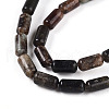 Natural Biotite Beads Strands G-N346-01A-02-4