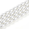 Baking Painted Pearlized Glass Pearl Bead Strands HY-T002-01A-01-3