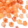 Transparent Acrylic Beads MACR-K359-46B-1