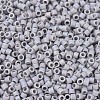 MIYUKI Delica Beads X-SEED-J020-DB1598-3