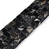 Natural Black Netstone Beads Strands G-T139-6x6-24A-4