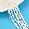 Natural Cultured Freshwater Pearl Beads Strands PEAR-P064-19C-12A-1