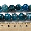 Faceted Natural Dragon Veins Agate Beads Strands G-F447-12mm-P05-5