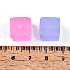 Frosted Transparent Acrylic Beads FACR-N006-03-3
