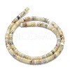 Natural Crazy Lace Agate Beads Strands G-F631-A22-2