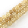 Coffee Watermelon Stone Glass Round Bead Strands G-R342-10mm-18-1