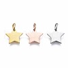 304 Stainless Steel Charms STAS-T059-27-2