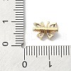 Brass Pave Clear Cubic Zirconia Multi-Strand Links FIND-Z029-14G-3