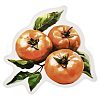 10Pcs Fruit PET Self-Adhesive Stickers DIY-K074-08F-3
