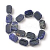 Natural Sodalite Beads Strands G-C098-A08-01-3
