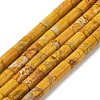 Natural Imperial Jasper Beads Strands G-Q169-A02-01D-1