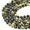 Natural African Turquoise(Jasper) Beads Strands G-C116-A23-02-3
