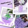 SUNNYCLUE 300Pcs 3 Colors Transparent Acrylic Beads OACR-SC0001-47B-5