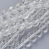 Glass Beads Strands GLAA-E416-01F-10mm-1