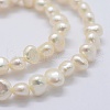 Natural Cultured Freshwater Pearl Beads Strands PEAR-K004-13C-3